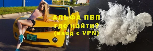 прущие грибы Михайловка