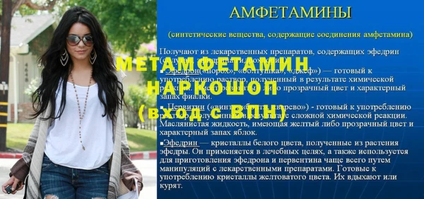 прущие грибы Михайловка