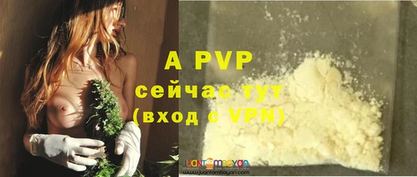 прущие грибы Михайловка