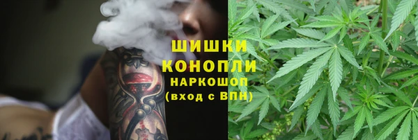 прущие грибы Михайловка