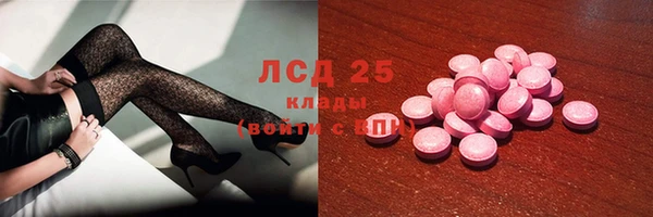 прущие грибы Михайловка