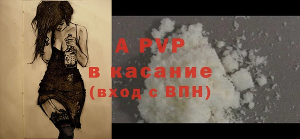 прущие грибы Михайловка