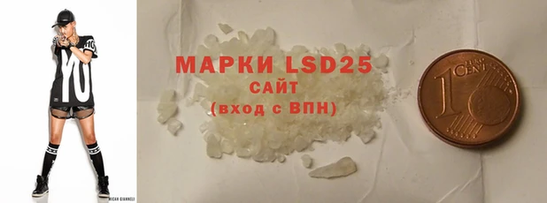 прущие грибы Михайловка