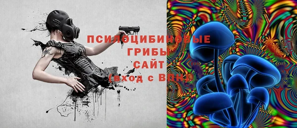 прущие грибы Михайловка