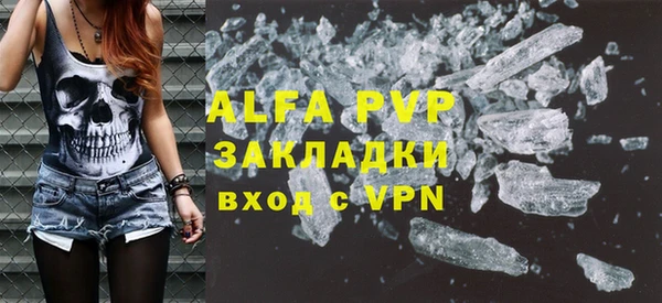 прущие грибы Михайловка