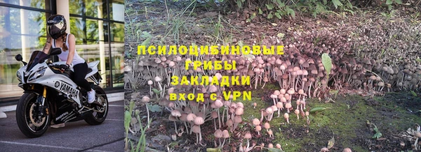 прущие крисы Михайлов