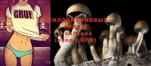 прущие грибы Михайловка