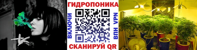 mega ССЫЛКА  магазин продажи наркотиков  Жигулёвск  Канабис марихуана 
